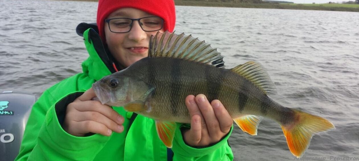 Anglercamp Peenestrom
